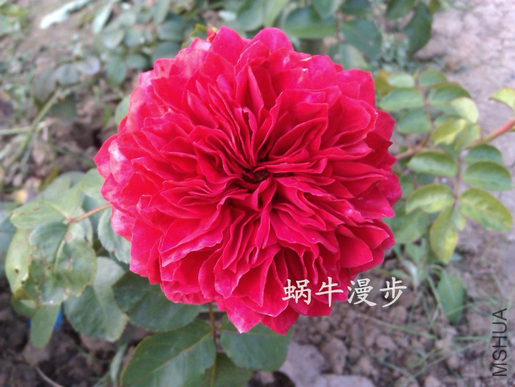 IMAG2240���.jpg