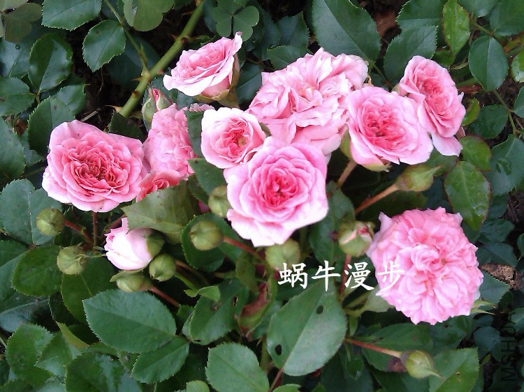 IMAG4841�����.jpg