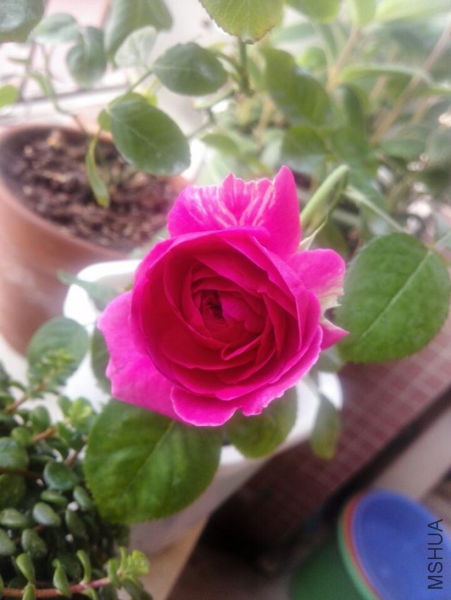 QQͼƬ20150415205311.jpg