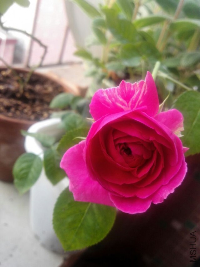 QQͼƬ20150415205335.jpg