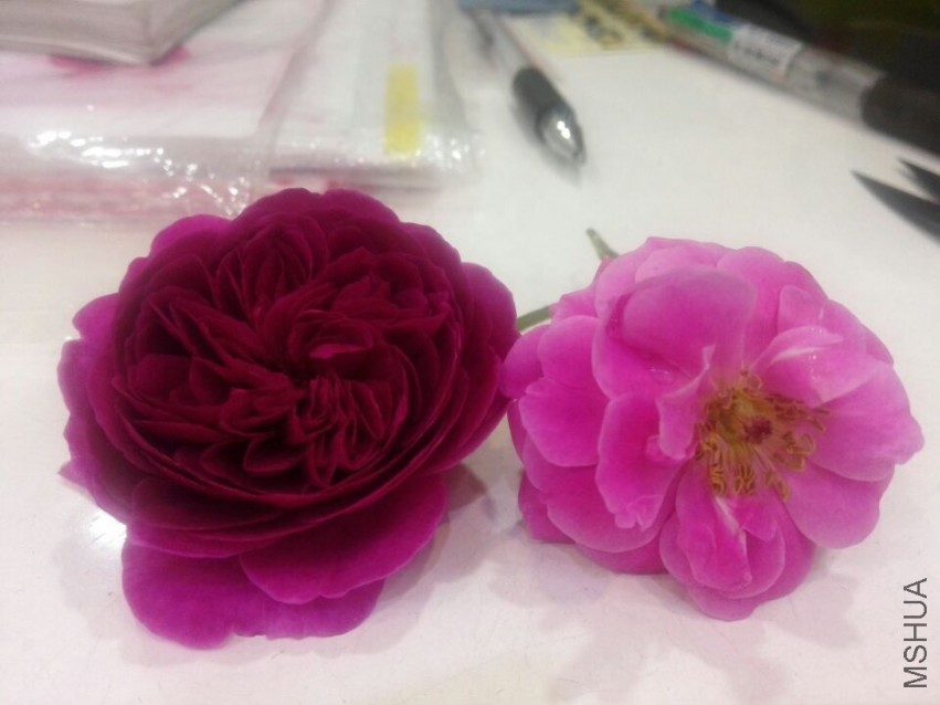 QQͼƬ20150415205340.jpg