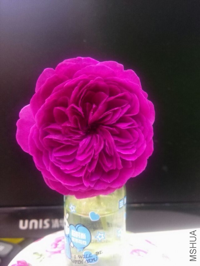 QQͼƬ20150415205330.jpg