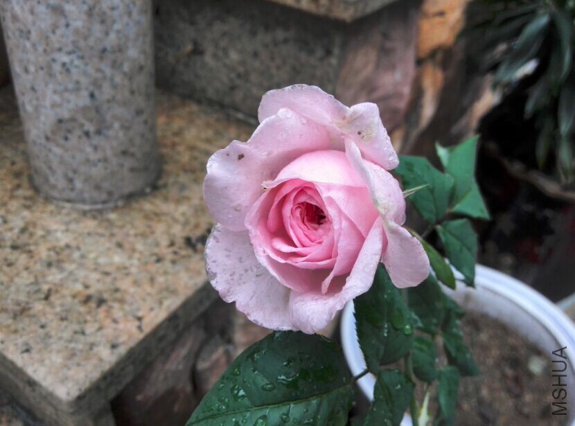 QQͼƬ20150415213219.jpg
