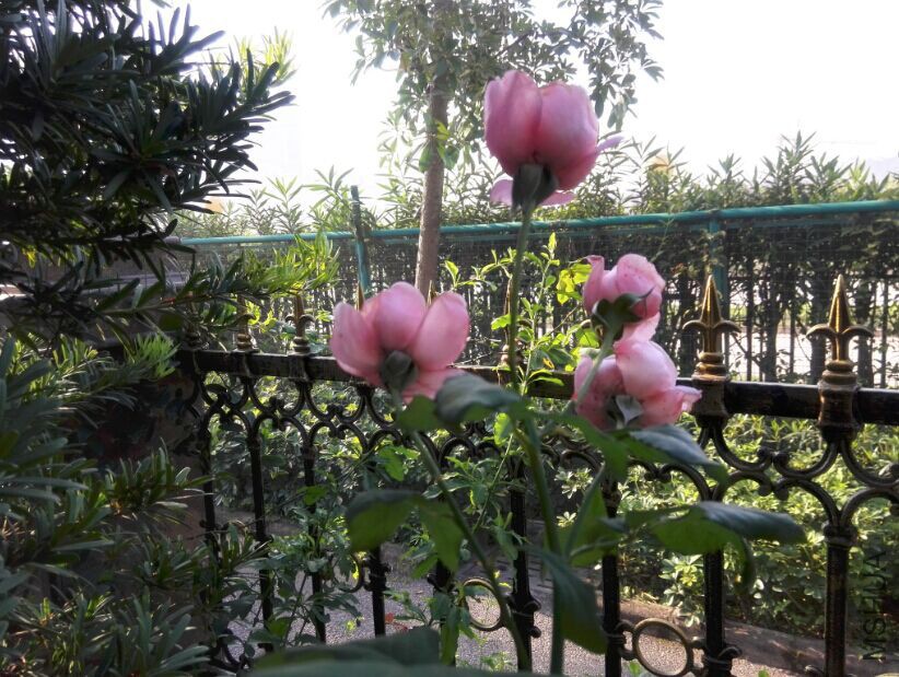 QQͼƬ20150415213406.jpg
