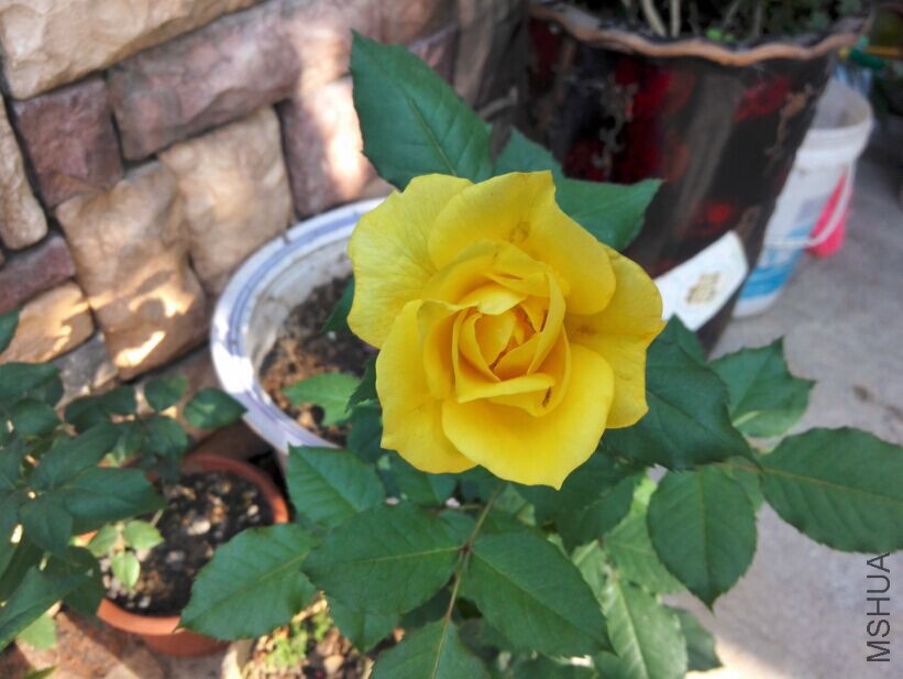 QQͼƬ20150415213357.jpg