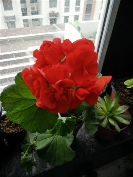 IMG20150403082025_����.jpg