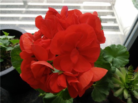 IMG20150403082033_����.jpg