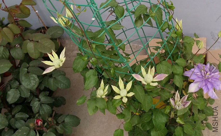 QQ��ͼ20150416093920.jpg