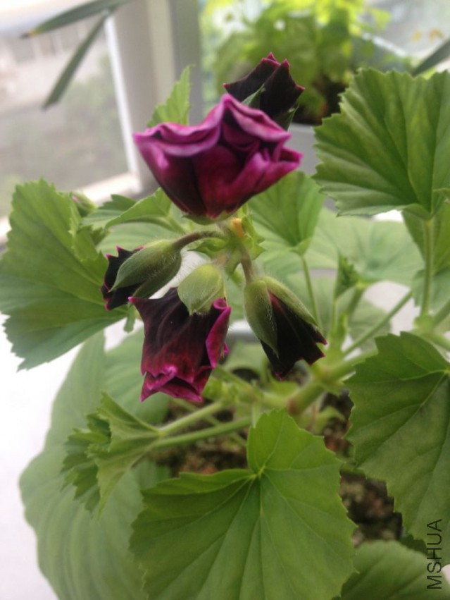 2015.4.15.jpg