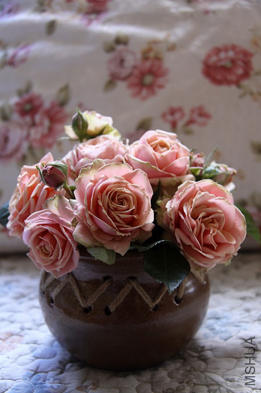 ��Ƭ 004_����_����.jpg