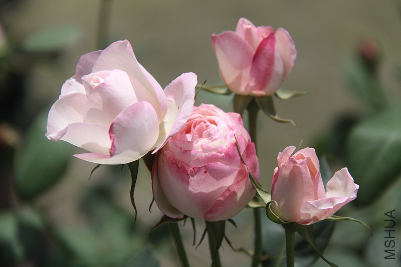 ��Ƭ 022_����_����.jpg