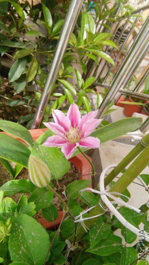 QQͼƬ20150416134348.jpg