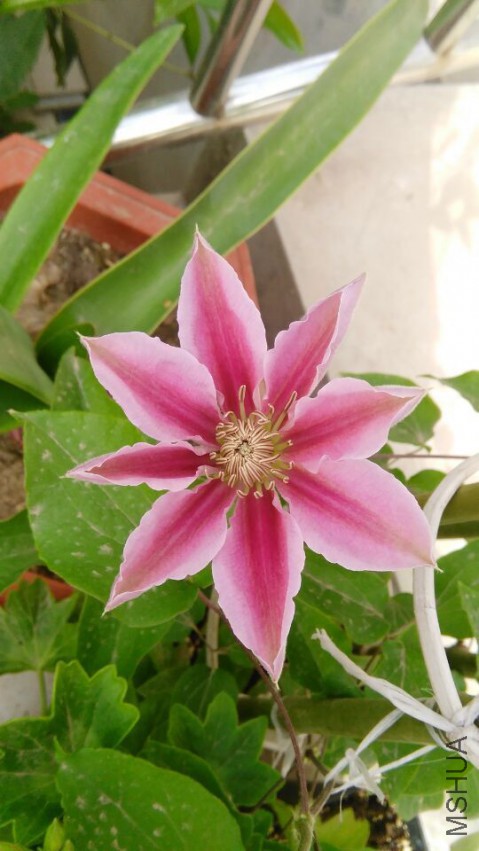 QQͼƬ20150416134343.jpg