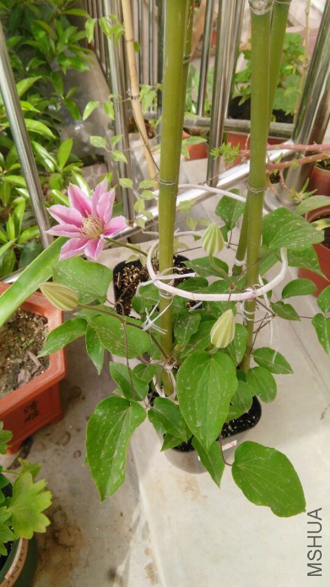 QQͼƬ20150416134336.jpg
