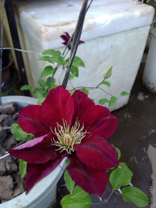QQͼƬ20150414091040.jpg