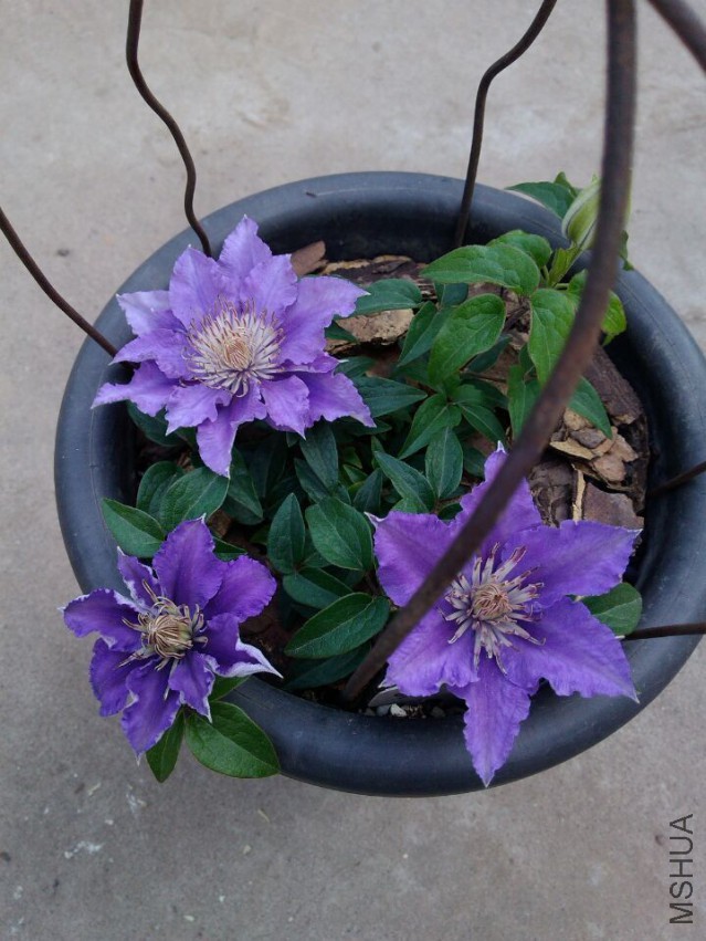 QQͼƬ20150414091107.jpg