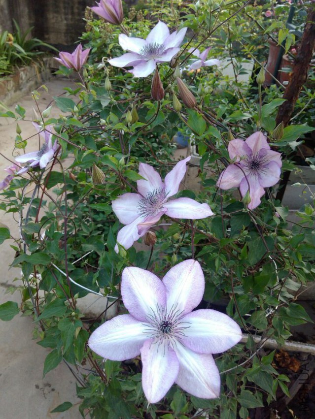 QQͼƬ20150414091130.jpg