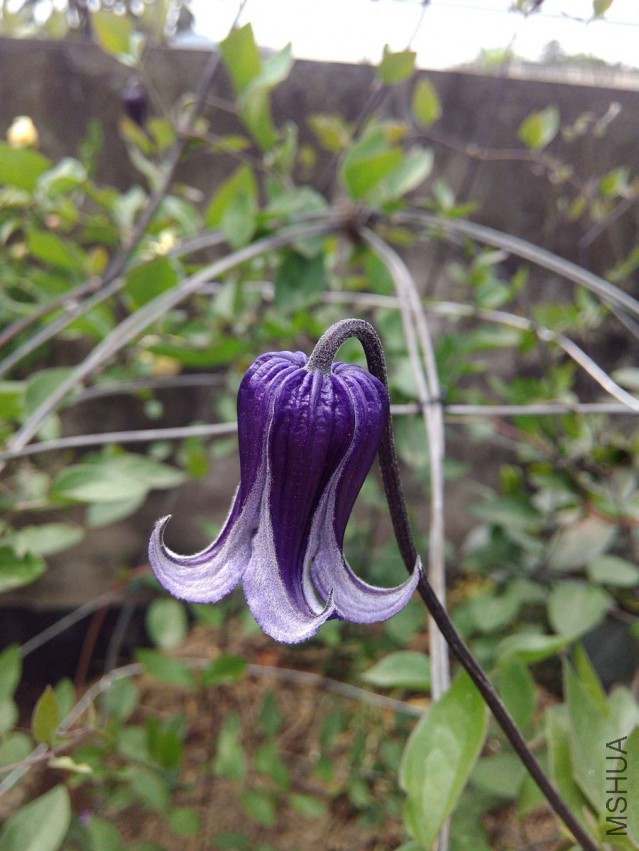 QQͼƬ20150416154120.jpg