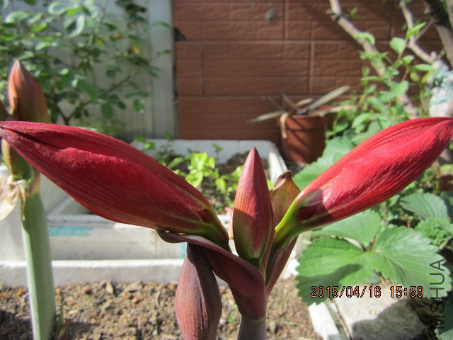 IMG_9391.JPG