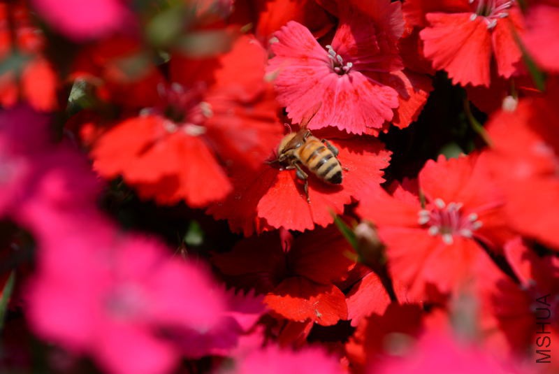 DSC_10440122.JPG