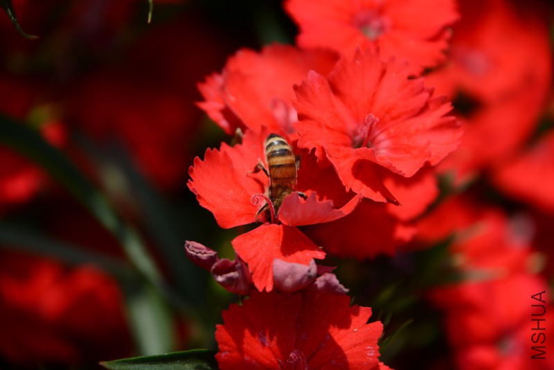 DSC_10280106.JPG