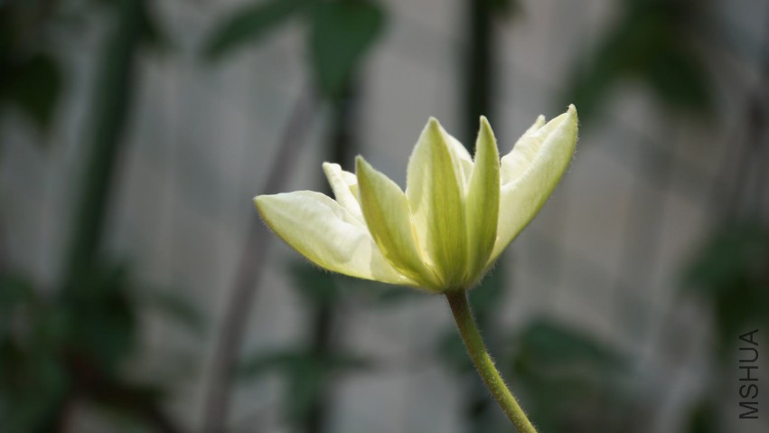 DSC02596.JPG