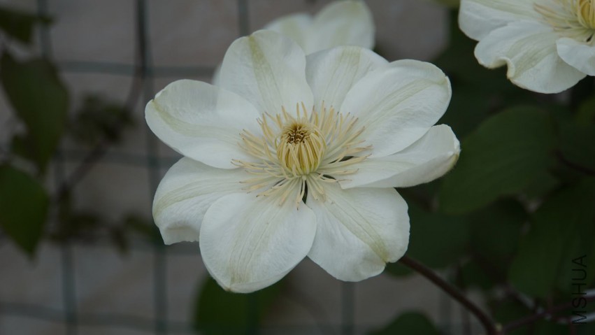 DSC02695.JPG
