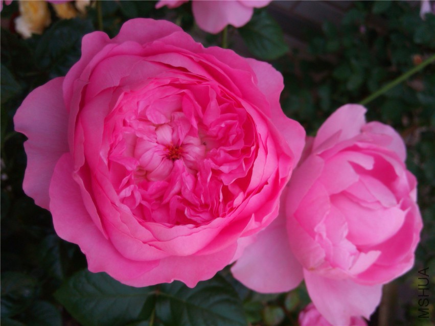 20150416094507.jpg