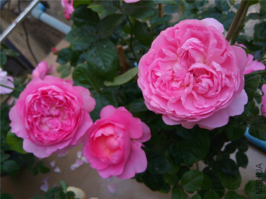 20150416094522.jpg