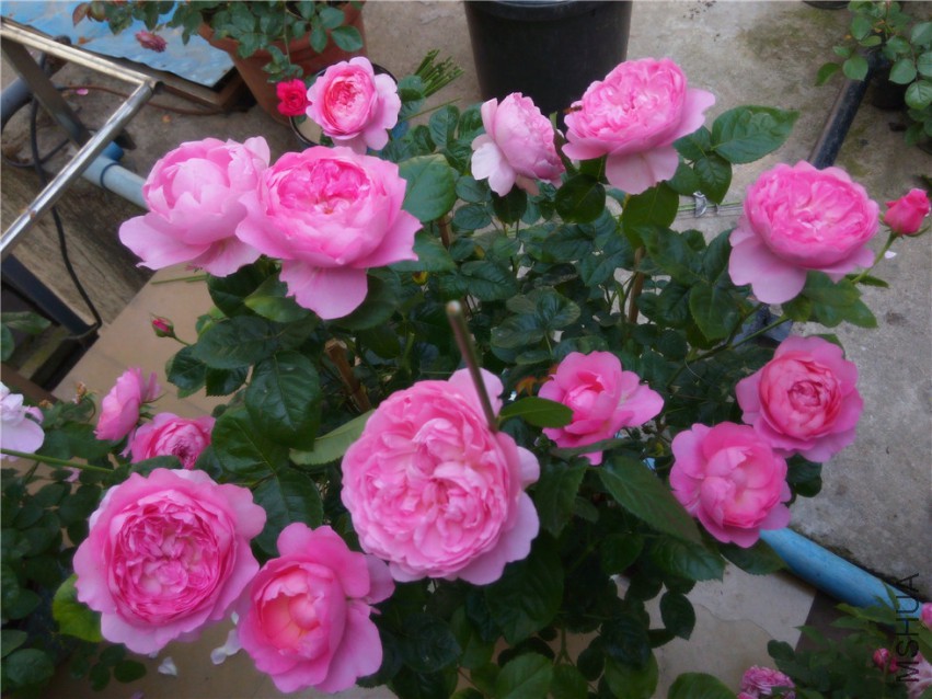 20150416094533_����1.jpg