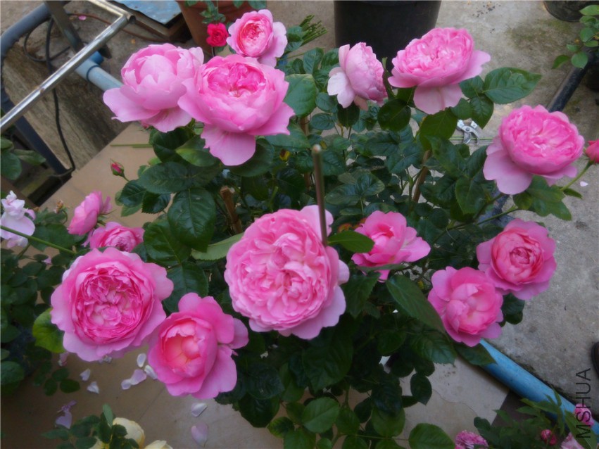 20150416094539_����1.jpg