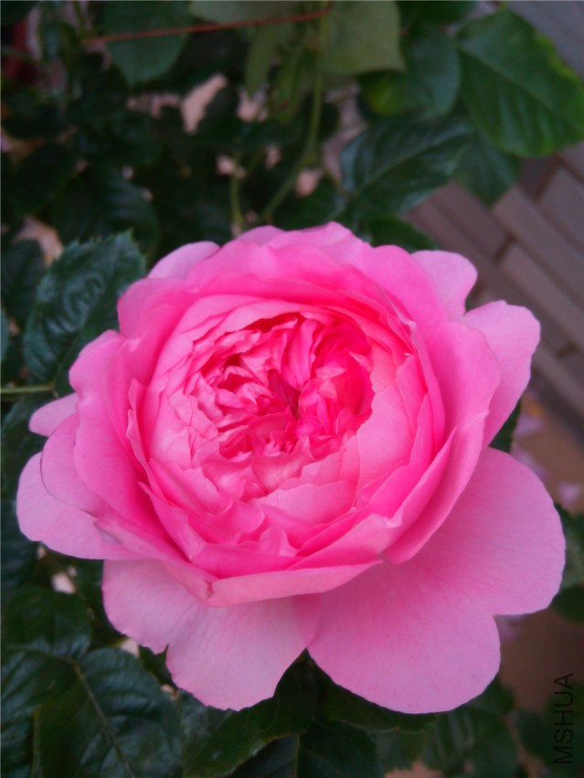 20150416094852.jpg