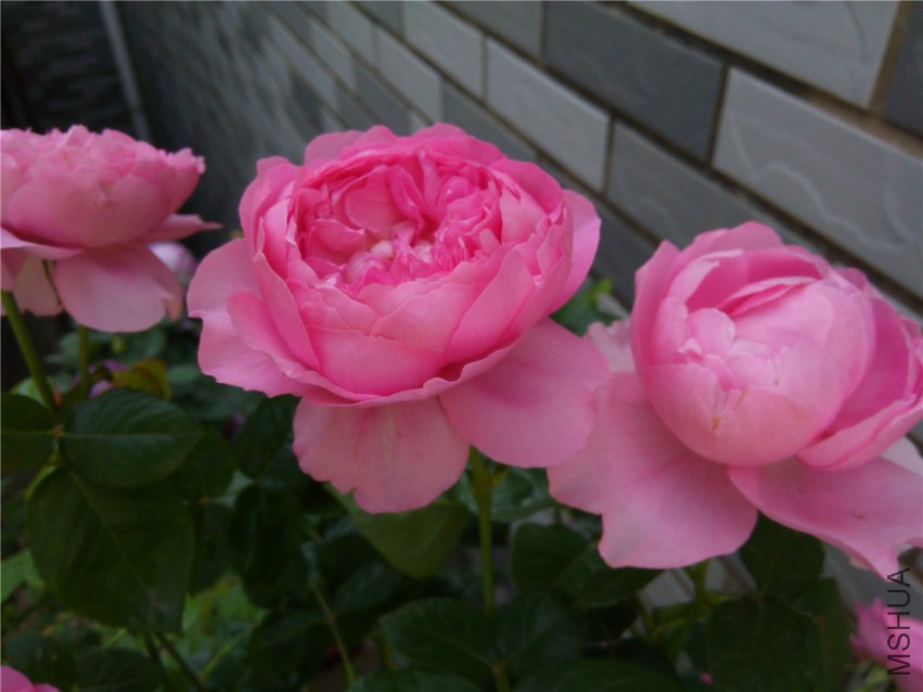 20150416094917.jpg