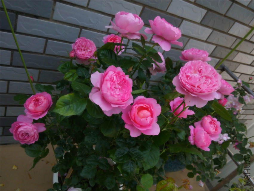 20150416095057.jpg