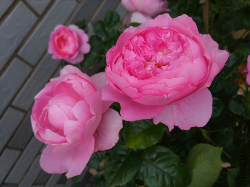 20150416095246.jpg