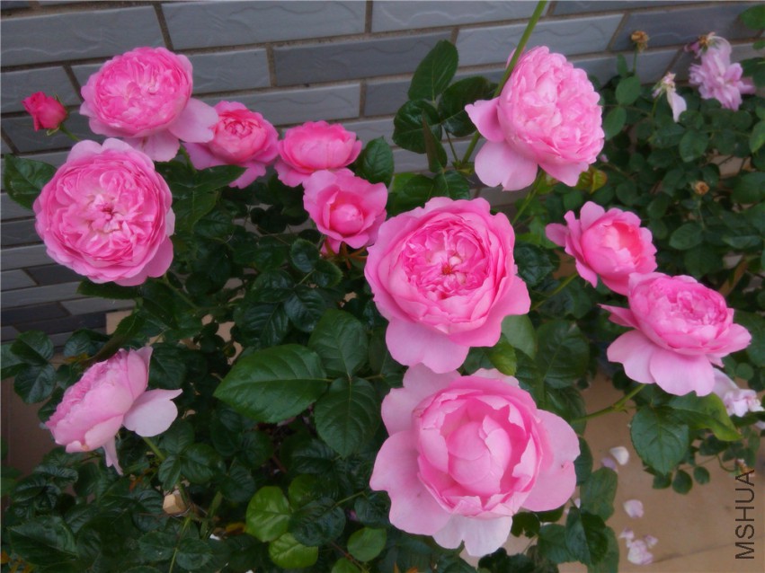 20150416095350.jpg