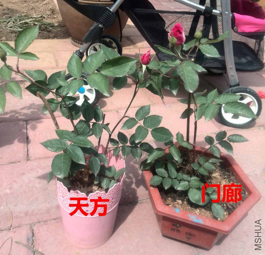 ���ҷ����ҵ�һ�� �췽�����ȣ�
