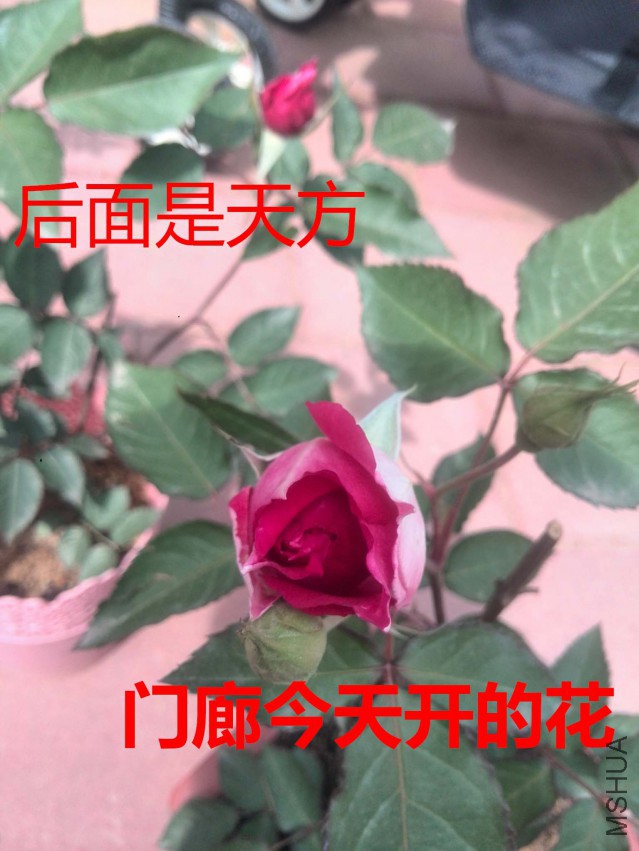 817_��ͼ��.jpg