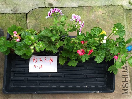 QQͼƬ20150416203136.jpg