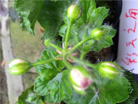 QQͼƬ20150416203153.jpg