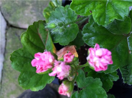 QQͼƬ20150416203207.jpg