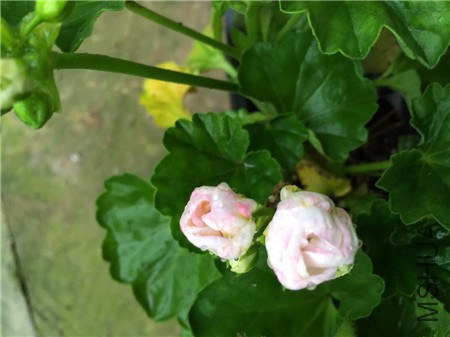 QQͼƬ20150416203212.jpg