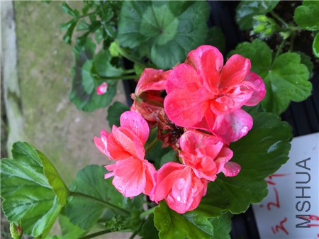 QQͼƬ20150416203221.jpg