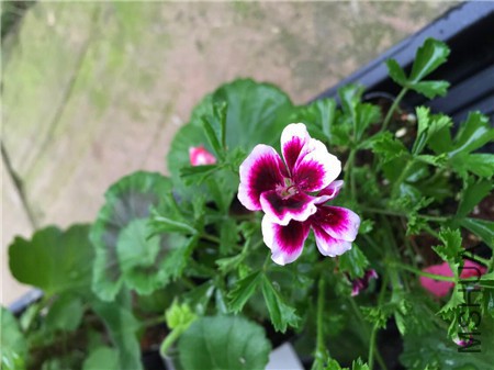 QQͼƬ20150416203218.jpg