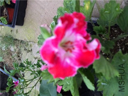 QQͼƬ20150416203223.jpg