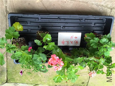 QQͼƬ20150416203229.jpg