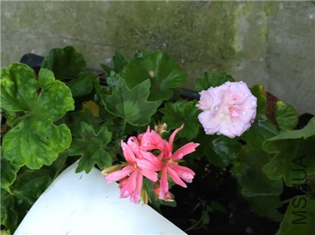 QQͼƬ20150416203240.jpg