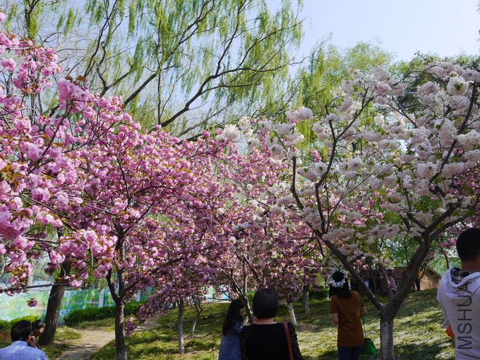 P1090845.jpg