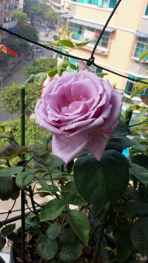20150417_094138.jpg