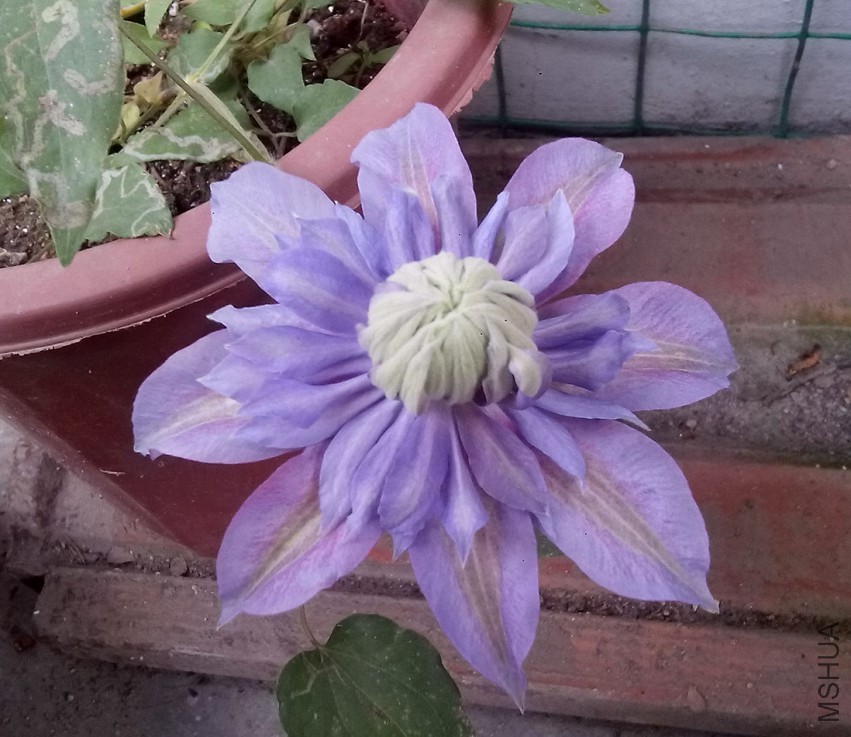 ��Ƭ_20150417_102348.jpg